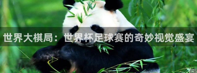 世界大棋局：世界杯足球赛的奇妙视觉盛宴