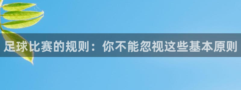 足球比赛的规则：你不能忽视这些基本原则
