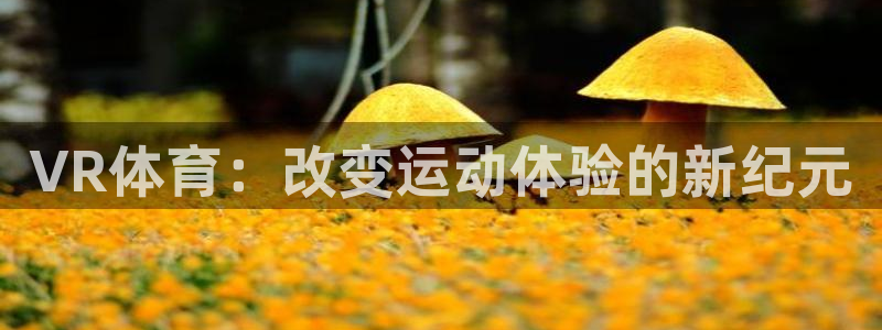 VR体育：改变运动体验的新纪元