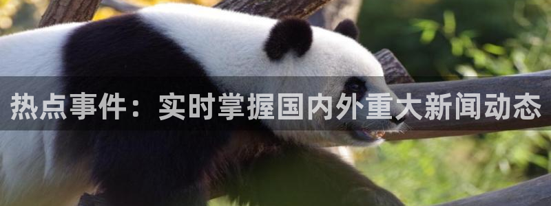 热点事件：实时掌握国内外重大新闻动态