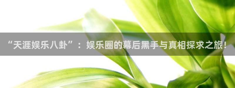 “天涯娱乐八卦”:娱乐圈的幕后黑手与真相探求之旅!