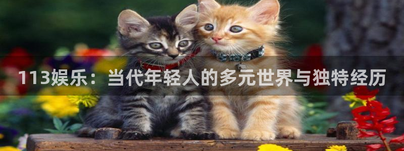 113娱乐:当代年轻人的多元世界与独特经历