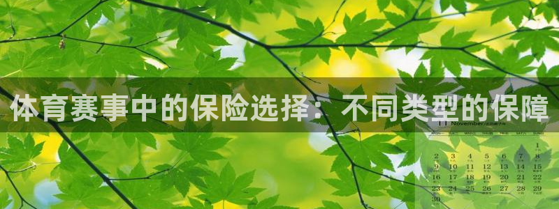体育赛事中的保险选择：不同类型的保障